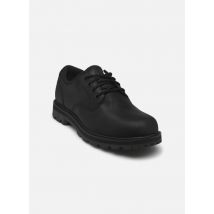 Timberland BRITTON ROAD LACE UP WATERPROOF SHOE Noir - Chaussures à lacets - Disponible en 40