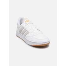 adidas sportswear Hoops 3.0 Wit - Sneakers - Beschikbaar in 40