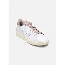 adidas sportswear Advantage 2.0 M Blanc - Baskets - Disponible en 40