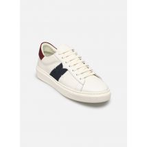 Kost SWANKY Blauw - Sneakers - Beschikbaar in 44