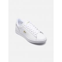Lacoste CARNABY W Blanc - Baskets - Disponible en 41