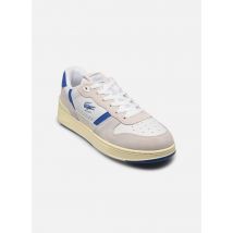 Lacoste T-CLIP M Gris - Baskets - Disponible en 41