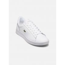 Lacoste CARNABY M Blanc - Baskets - Disponible en 41