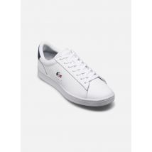 Lacoste CARNABY M Blanc - Baskets - Disponible en 40