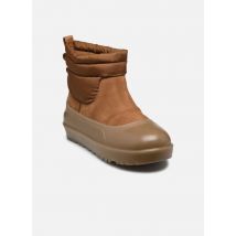UGG M CLASSIC MINI MOD Marron - Bottines et boots - Disponible en 44