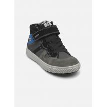 Primigi PBYGT 68866 Gris - Baskets - Disponible en 25