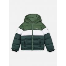 Bekleidung Levi's Boy'S Color Block Puffer grün - Levi's Kids - Größe 16A