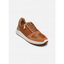 TBS Made in France Eugezip Bruin - Sneakers - Beschikbaar in 40