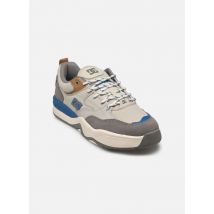 DC Shoes Dc Ascend Multicolore - Baskets - Disponible en 45