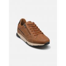 Comfeet ANTRIM? M00551 Marron - Baskets - Disponible en 43