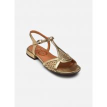 Sandalen Tumaka Gold - Chie Mihara - Größe 36