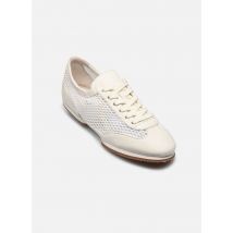 Polo Ralph Lauren SWN BLRINA-SNEAKERS-LOW TOP LACE DW - Ballerines - Disponible en 40 1/2