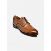 Veterschoenen DARVINE Bruin - Marvin&Co Luxe - Beschikbaar in 45
