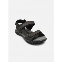 Sandalen Arlo 02 grau - Josef Seibel - Größe 42