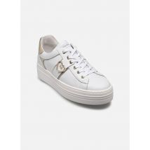 NeroGiardini E513022D Blanc - Baskets - Disponible en 36