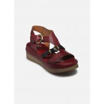 AS98 C02006 - Sandales et nu-pieds - Disponible en 38