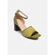 Georgia Rose Sancre - sandales - Sandales et nu-pieds - Disponible en 42