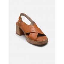 Dorking DIAMOND D9333 - Sandales et nu-pieds - Disponible en 37
