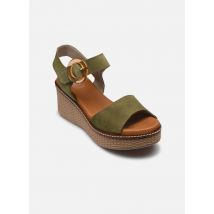 Sandales et nu-pieds NIDO D9450 Vert - Dorking - Disponible en 41