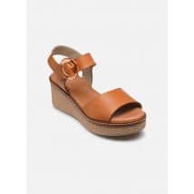 Sandales et nu-pieds NIDO D9450 Marron - Dorking - Disponible en 39
