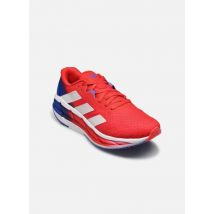 adidas performance Adistar 3 M - Chaussures de sport - Disponible en 44