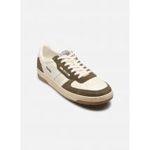 Gola Hawk '89 M Blanc - Baskets - Disponible en 46