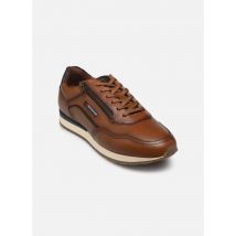 Redskins ASSURE Marron - Baskets - Disponible en 45