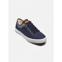 Redskins PROMESSE Bleu - Baskets - Disponible en 40
