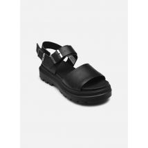 Sandales et nu-pieds Pallacruise Classic Noir - Palladium - Disponible en 38
