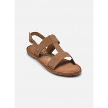 Kickers KICK DINES Marron - Sandales et nu-pieds - Disponible en 36