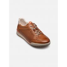 Fluchos ELDER F2179 braun - Sneaker - Größe 42