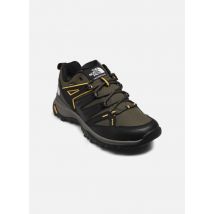 The North Face Men?s Hedgehog Gore-Tex - Chaussures de sport - Disponible en 45