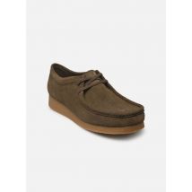 Clarks WallabeeEVO Vert - Chaussures à lacets - Disponible en 41