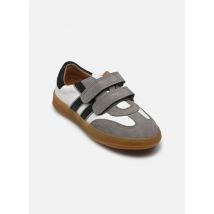 Froddo LOU Gris - Baskets - Disponible en 33
