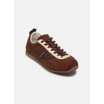 Pompeii GEMINI Bordeaux - Baskets - Disponible en 37