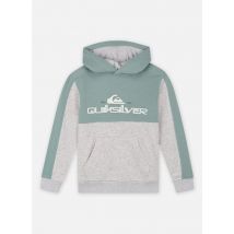 Kleding Knowledge Area Hood Youth EQBFT03928 Grijs - Quiksilver - Beschikbaar in 8A