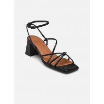 Sandalen A8157 schwarz - Billi Bi - Größe 40
