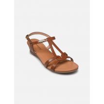 Sandalen HACTRESS Bruin - Les Tropéziennes par M Belarbi - Beschikbaar in 39
