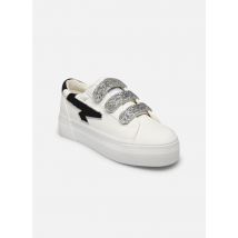 Kaporal CLOVIA Blanc - Baskets - Disponible en 41