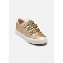 Kaporal TIPPYK Or et bronze - Baskets - Disponible en 37
