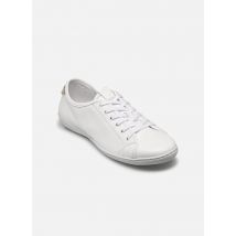 TBS CERRISE Blanc - Baskets - Disponible en 39