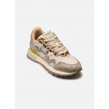 D Franklin VIBLA Goud en brons - Sneakers - Beschikbaar in 36
