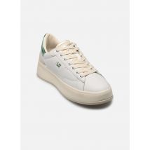 D Franklin COURT Groen - Sneakers - Beschikbaar in 40