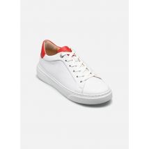 Lloyd COURTYARD Blanc - Baskets - Disponible en 38