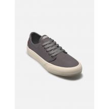 Globe Goodstock Grijs - Sneakers - Beschikbaar in 43