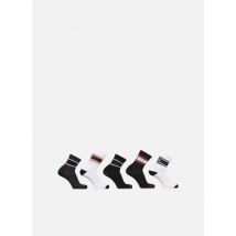 Globe Triple Stripe Crew Sock 5 Pack - Chaussettes et collants - Disponible en T.U