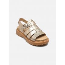 Timberland CLWY FISHERMAN SANDAL GOLDM Or et bronze - Sandales et nu-pieds - Disponible en 40