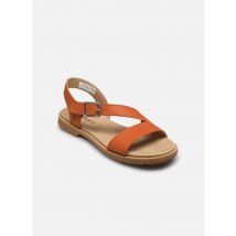 Timberland CLBY BACKSTRAP SANDAL MDORN Orange - Sandales et nu-pieds - Disponible en 39