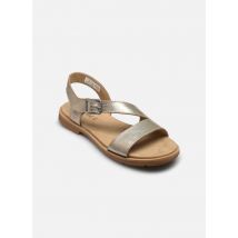 Timberland CLBY BACKSTRAP SANDAL GOLDM Or et bronze - Sandales et nu-pieds - Disponible en 36