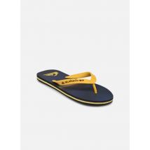 Tongs MOLOKAI STRIPE 25 Bleu - Quiksilver - Disponible en 46